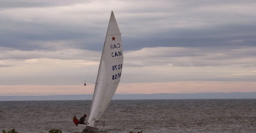 découvrez le land sailing, une activité sportive alliant vitesse et sensation de liberté sur terre grâce à un char à voile propulsé par le vent.