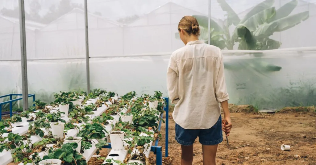 découvrez l'aquaponie, une méthode durable combinant aquaculture et culture hydroponique pour produire des légumes frais et du poisson de manière écologique.