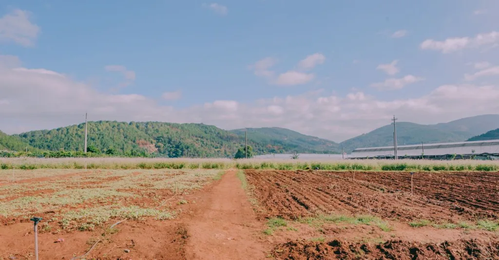 découvrez notre ferme écologique dédiée à une agriculture durable et respectueuse de l'environnement, favorisant la biodiversité et des pratiques naturelles.
